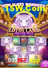 Experiência VIP 095Bet App